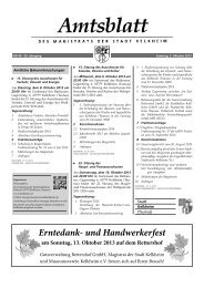 40.2013.pdf [1.3 MByte] - in Kelkheim