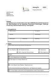 130514 Antrag Solar Heizung PV Thermografie - Stadt Kemnath