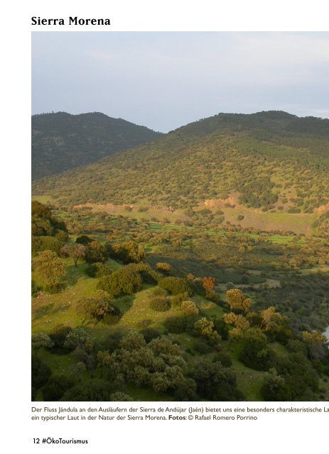 Die Sierra Morena in Spanien