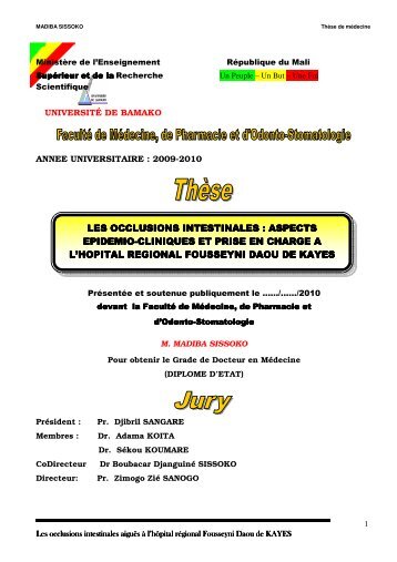 LES OCCLUSIONS INTESTINALES LES OCCLUSIONS ...