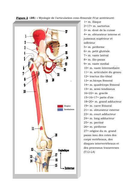 faculte de medecine, de pharmacie et d'odonto-stomatologie