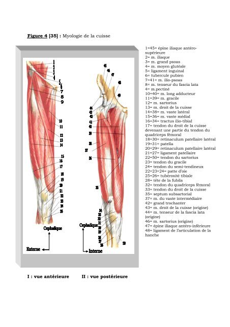 faculte de medecine, de pharmacie et d'odonto-stomatologie