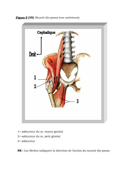 faculte de medecine, de pharmacie et d'odonto-stomatologie