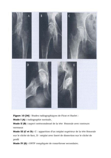 faculte de medecine, de pharmacie et d'odonto-stomatologie