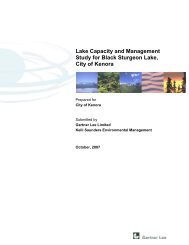 Black Sturgeon Lake Management and Capacity Report - Kenora.ca