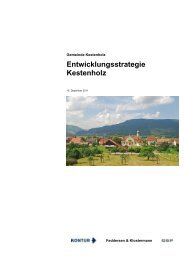 Entwicklungsstrategie Kestenholz (pdf, 755kB) - Gemeinde Kestenholz
