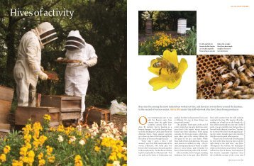 Hives of Activity (pdf) - Royal Botanic Gardens, Kew