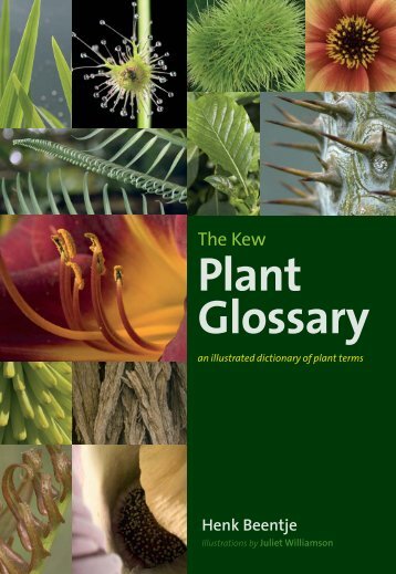 Plant Glossary - Royal Botanic Gardens, Kew