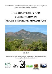 the biodiversity and conservation of mount chiperone ... - IIAM