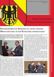 KFV-BroschÃ¼re 05/10 - Kreisfeuerwerhverband Breisgau ...