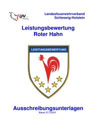 Roter Hahn 2013