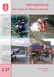 pdf-Download - Feuerwehr Mannsflur