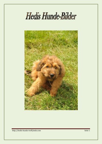 Hedi´s Hunde-Bilder-Buch