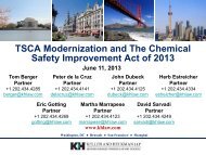 TSCA Modernization and The Chemical Safety ... - Keller Heckman