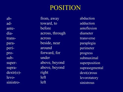 POSITION PREFIXES AND POSITION WORDS