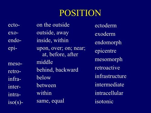 POSITION PREFIXES AND POSITION WORDS