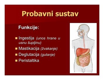 Probavni sustav [3,09 MiB]