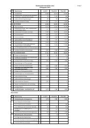 Wirtschaftsplan 2013 inklusive Investitionsplan - Kommunale ...