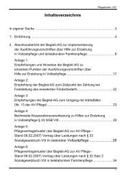 Pflegekinder-Heft 1/07 als PDF-Dokument - Kindertagespflege