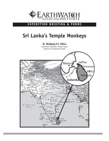Sri Lanka's Temple Monkeys