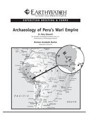 Archaeology of Peru's Wari Empire