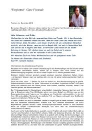 Zum Weihnachtsbrief 2012 von Dr. Kenneth Nwokolo (PDF, 424 kB)