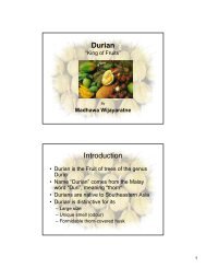 Durian Introduction - Christiealwis.com