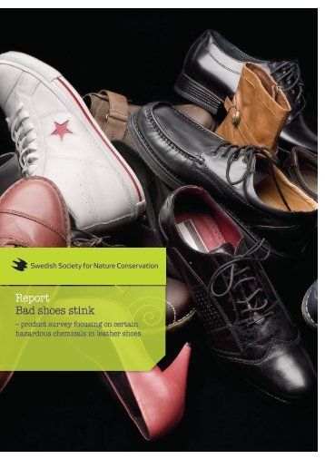 Hazardous chemicals in leather shoes - NaturskyddsfÃ¶reningen