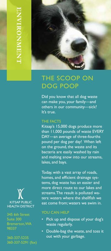 Pet Waste Brochure - Kitsap Public Health District