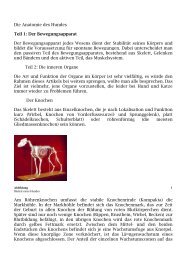 Die Anatomie des Hundes Teil 1: Der Bewegungsapparat Der ...