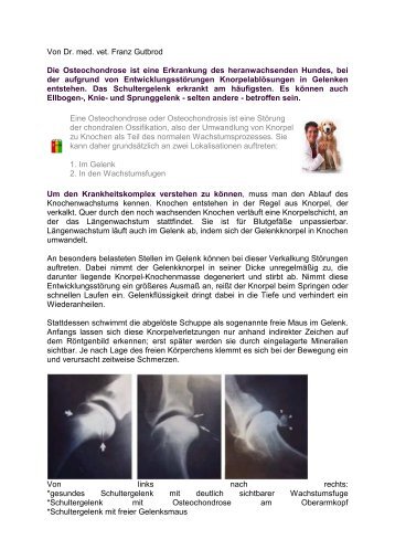 Von Dr. med. vet. Franz Gutbrod Die Osteochondrose ist eine ...