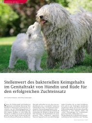 Stellenwert des bakteriellen Keimgehalts im genitaltrakt von HÃ¼ndin ...