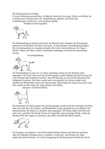 Die KÃ¶rpersprache des Hundes Um seine Stimmung auszudrÃ¼cken ...