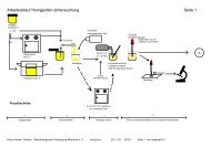 Grafische ProzeÃdarstellung Honigpollen-Bearbeitung