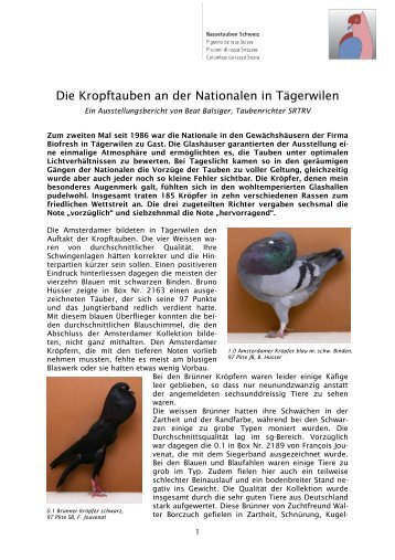 Aussgtellungsbericht Kropftauben - Kleintiere Schweiz