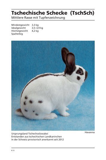 Seitenzeichnung Magazine