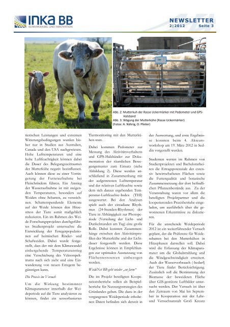 inka bb newsletter 2012_2 - Klima-Bob