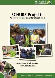 SCHUBZ-Projekte (1.8 MB)