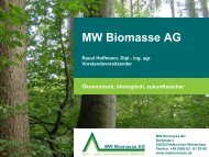Raoul Hoffmann, MW Biomasse - Klima-Werkstatt