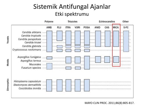 YENÄ° ANTÄ°FUNGAL AJANLAR - Klimik