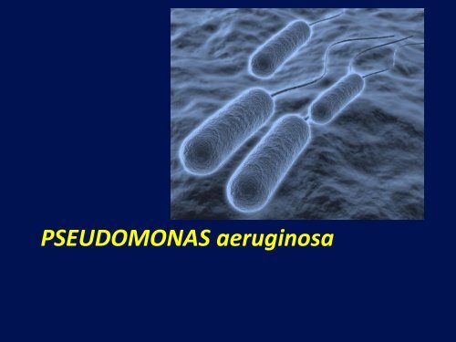 Pseudomonas, Stenotrophomonas ve Burkholderia TÃ¼rleri - Klimik