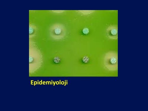 Pseudomonas, Stenotrophomonas ve Burkholderia TÃ¼rleri - Klimik