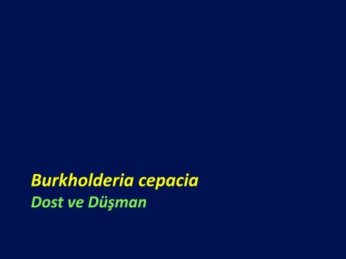 Pseudomonas, Stenotrophomonas ve Burkholderia TÃ¼rleri - Klimik