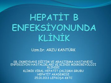 kronÄ¡k hepatÄ¡t b enfeksÄ¡yonu - Klimik