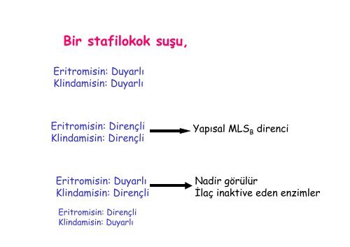 Klinik Uygulamada Antibiyotik DuyarlÄ±k Testleri ve ... - Klimik