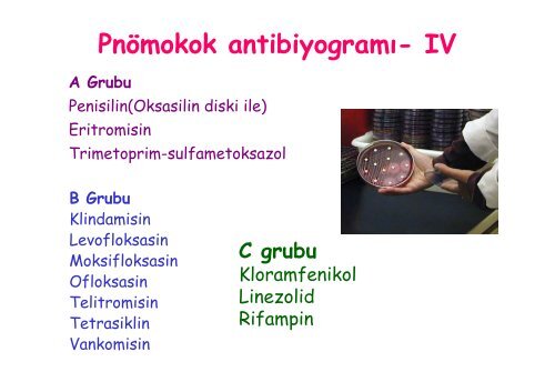 Klinik Uygulamada Antibiyotik DuyarlÄ±k Testleri ve ... - Klimik