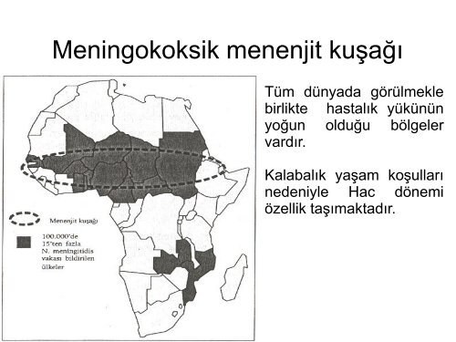 Bakteriyel menenjitler azalÄ±yor mu? AÅÄ±lar epidemiyolojiyi ... - Klimik