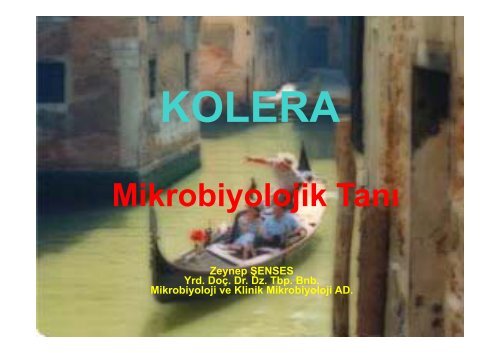 Kolera - Klimik