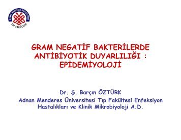 Gram-Negatif Bakterilerde Antibiyotik DuyarlÄ±lÄ±ÄÄ± - Klimik