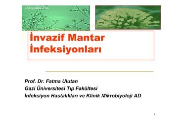 Ä°nvazif Mantar Ä°nfeksiyonlarÄ± â 12 Mart 2008 - Klimik